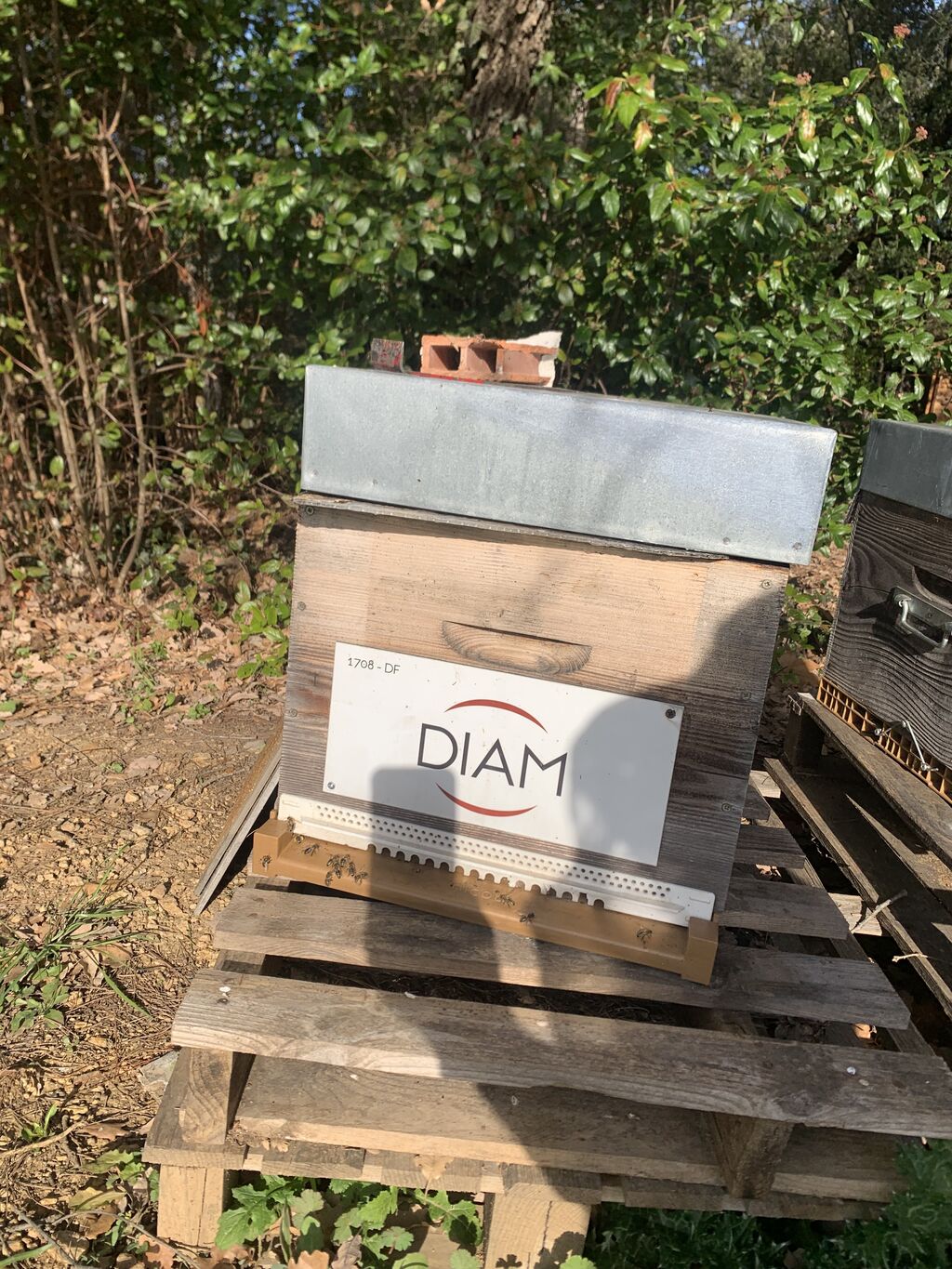 La ruche DIAM BOUCHAGE SAS