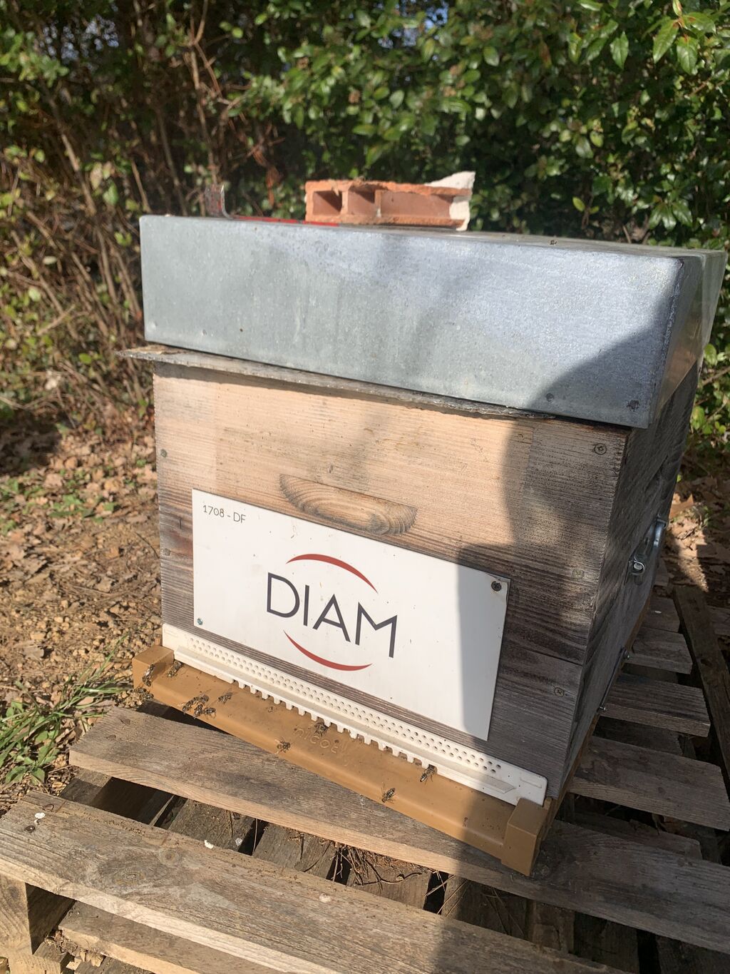 La ruche DIAM BOUCHAGE SAS