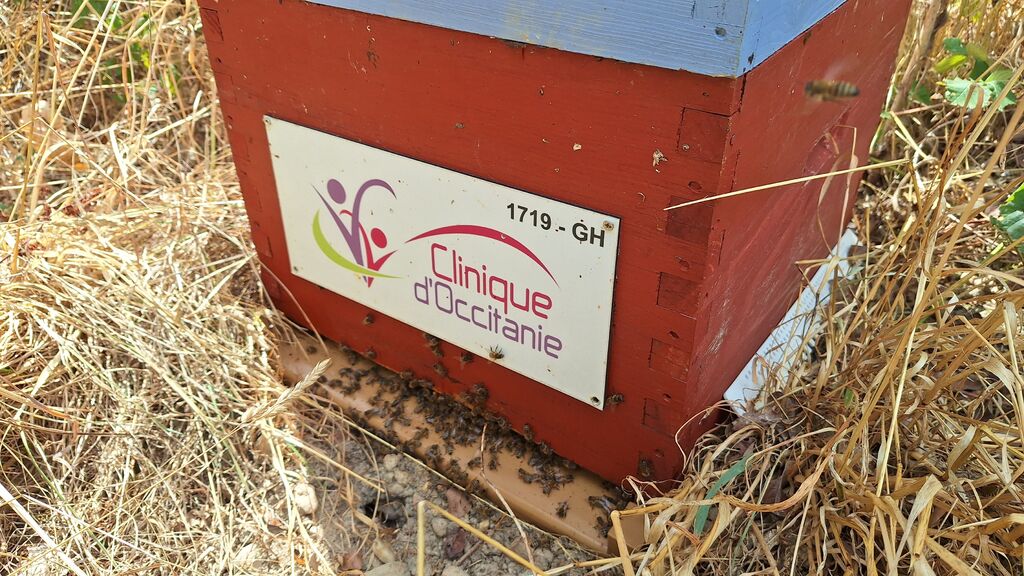 La ruche CLINIQUE D OCCITANIE