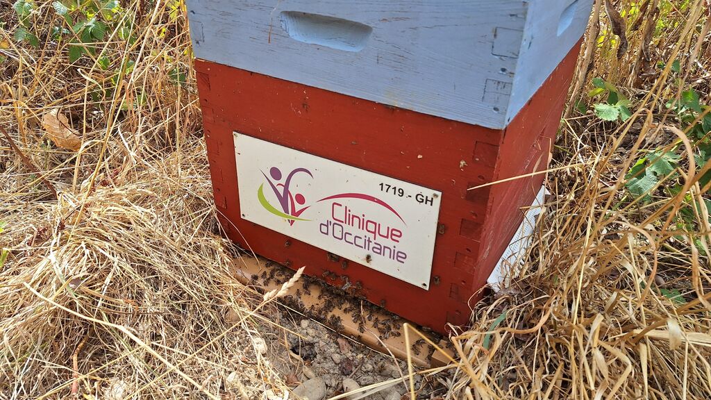 La ruche CLINIQUE D OCCITANIE