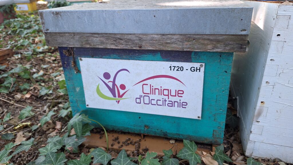 La ruche CLINIQUE D OCCITANIE