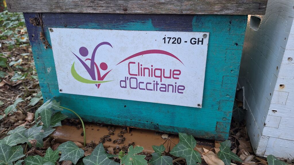 La ruche CLINIQUE D OCCITANIE