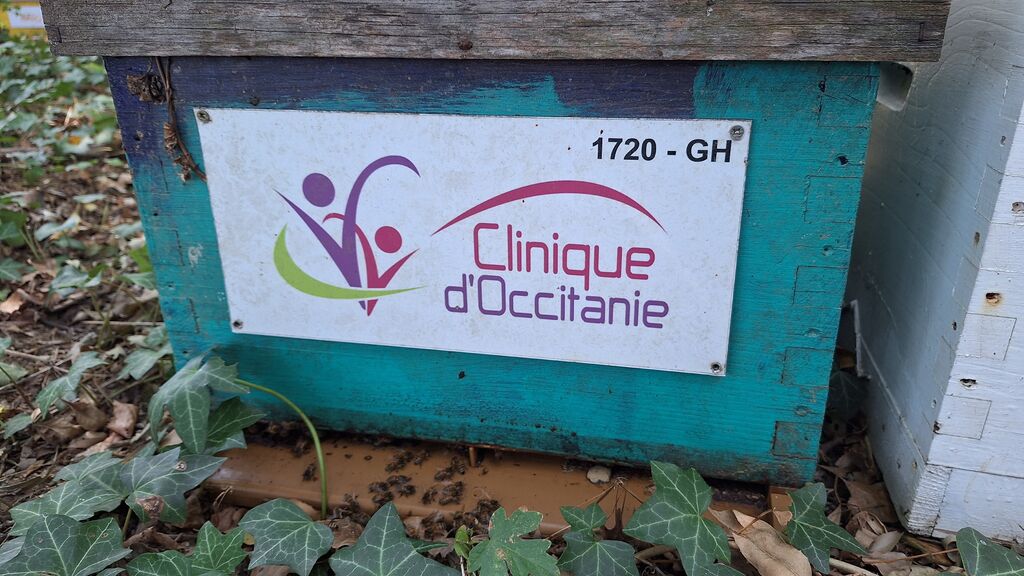 La ruche CLINIQUE D OCCITANIE