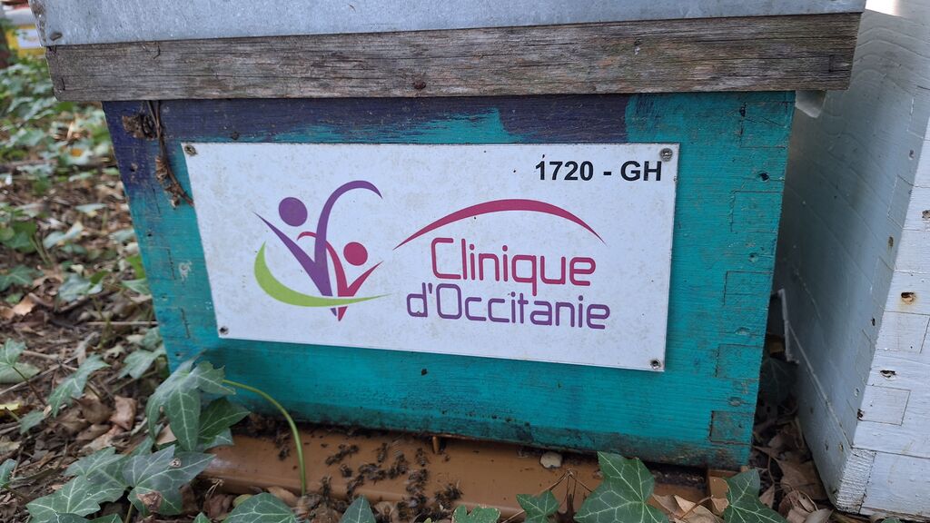La ruche CLINIQUE D OCCITANIE