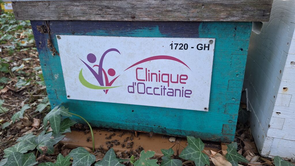 La ruche CLINIQUE D OCCITANIE