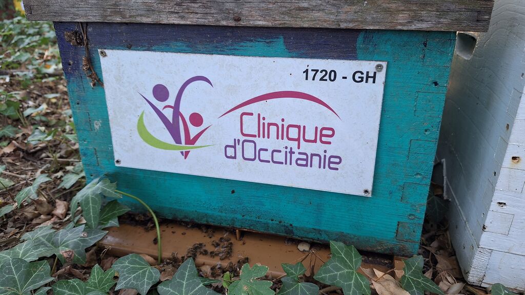 La ruche CLINIQUE D OCCITANIE