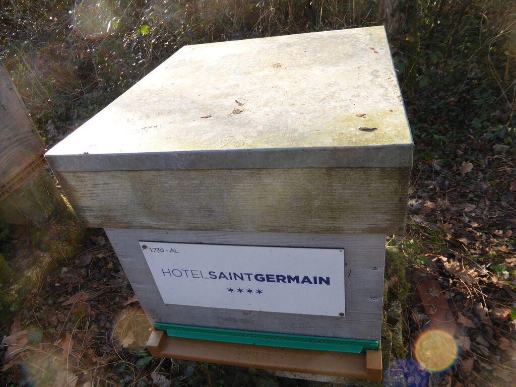 La ruche Hotel saint germain