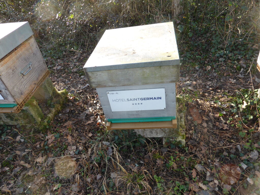 La ruche Hotel saint germain