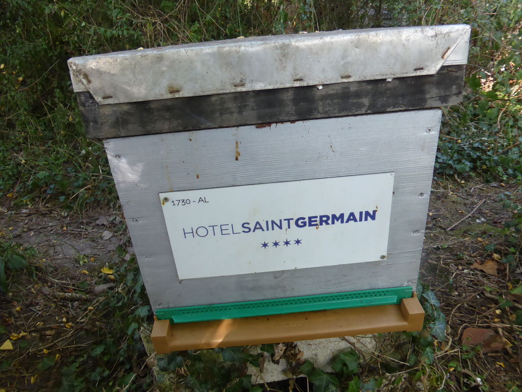 La ruche Hotel saint germain