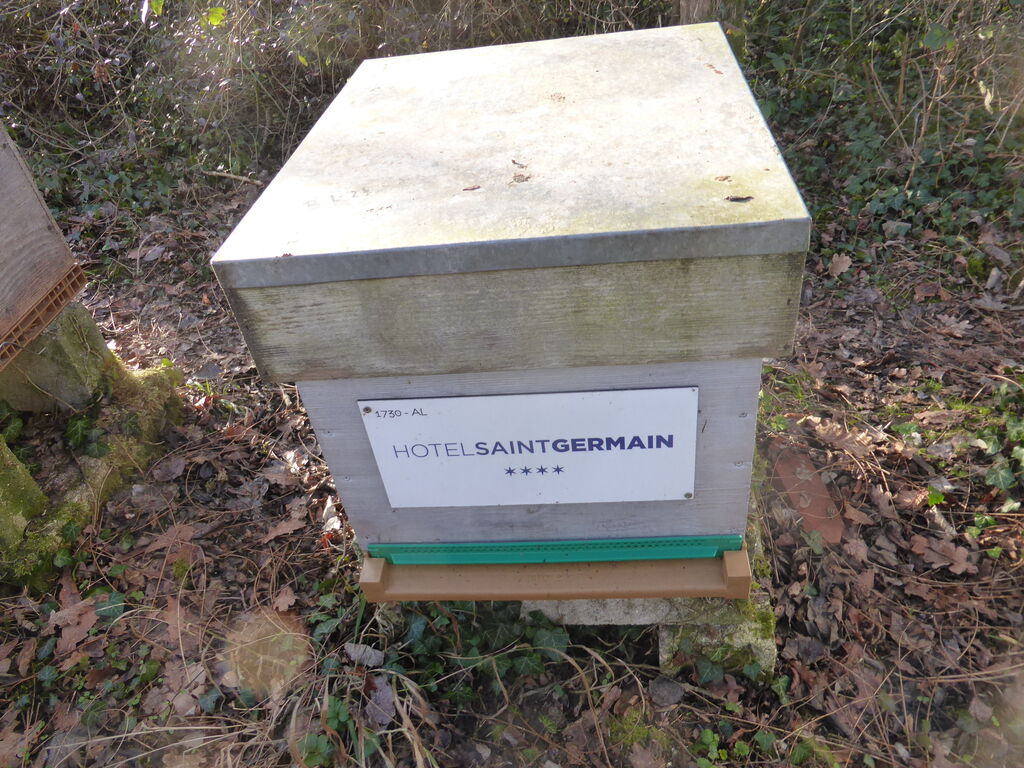 La ruche Hotel saint germain