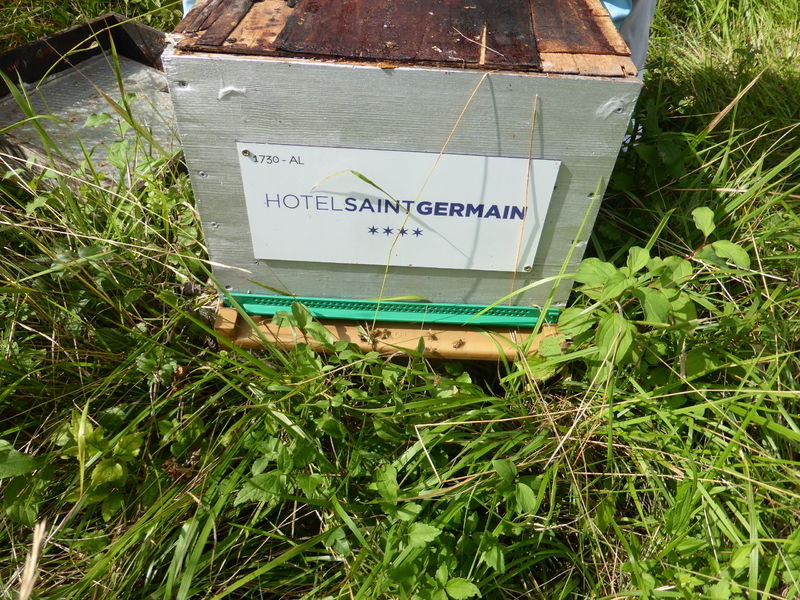 La ruche Hotel saint germain