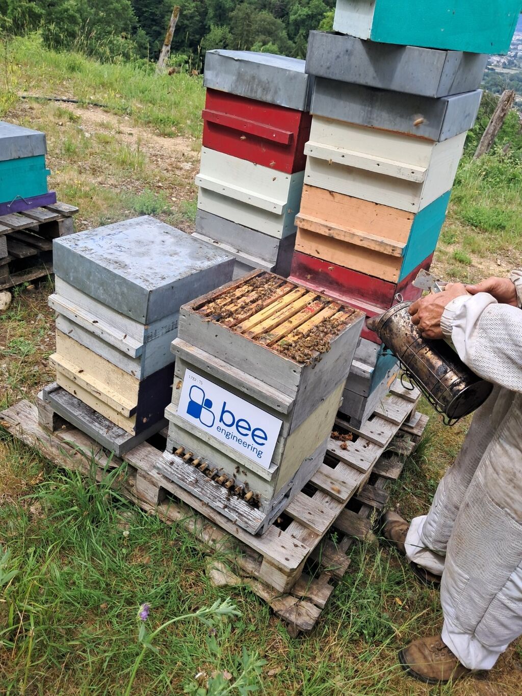 La ruche Bee engineering