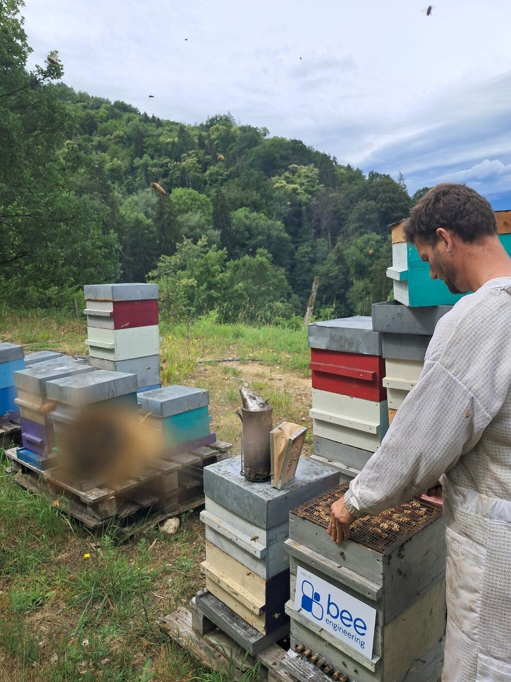 La ruche Bee engineering