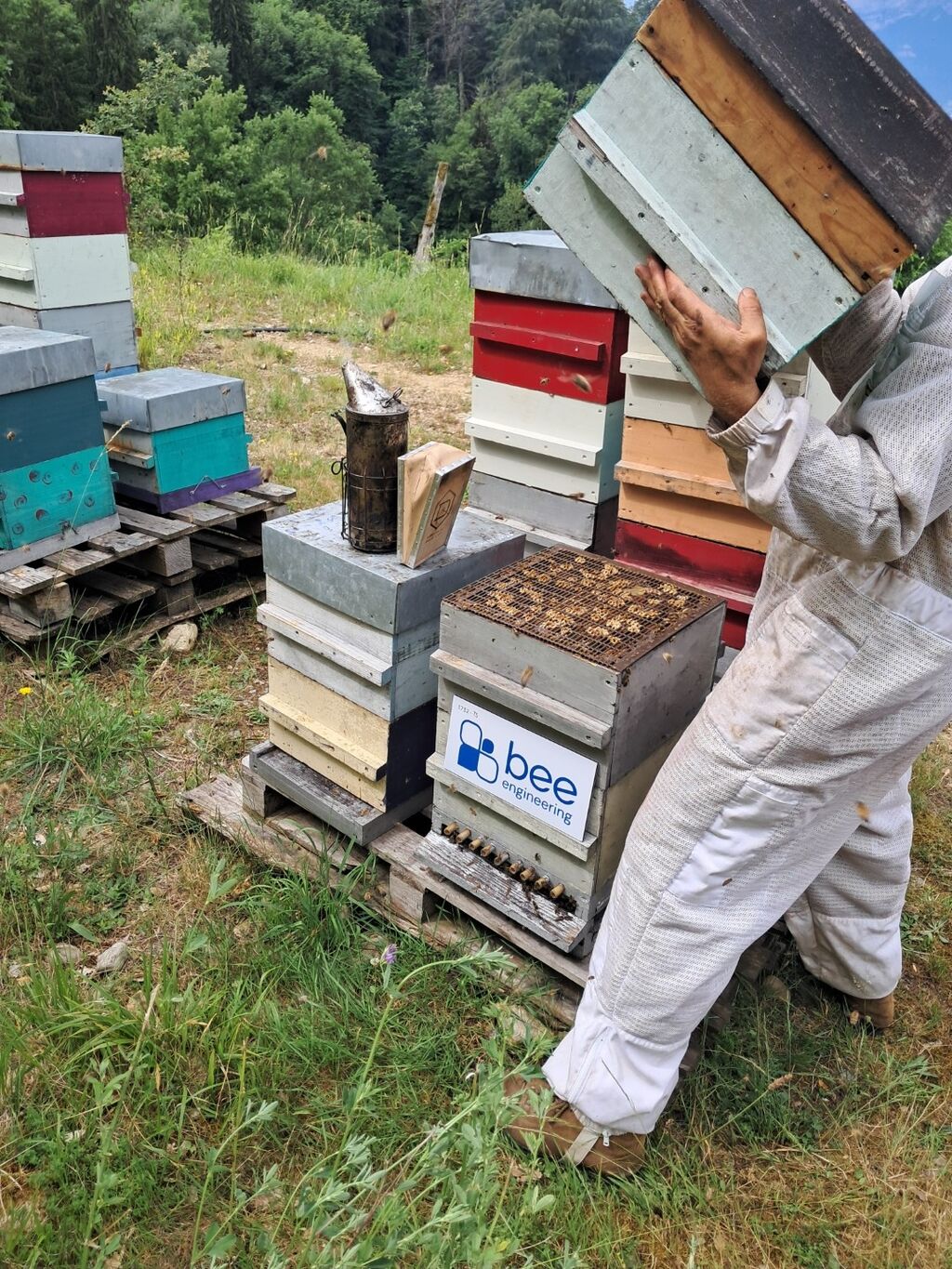 La ruche Bee engineering