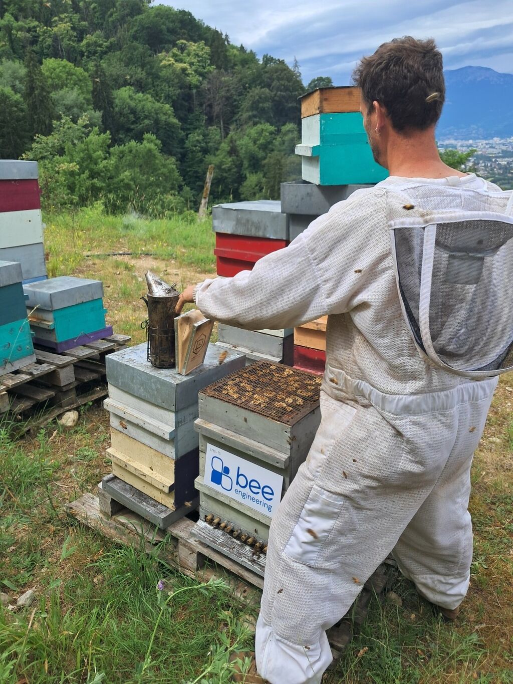 La ruche Bee engineering