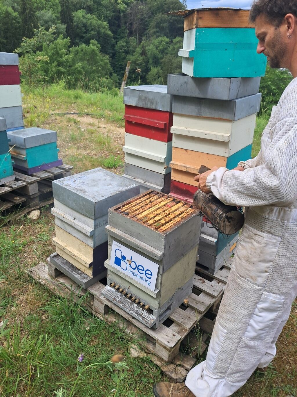 La ruche Bee engineering