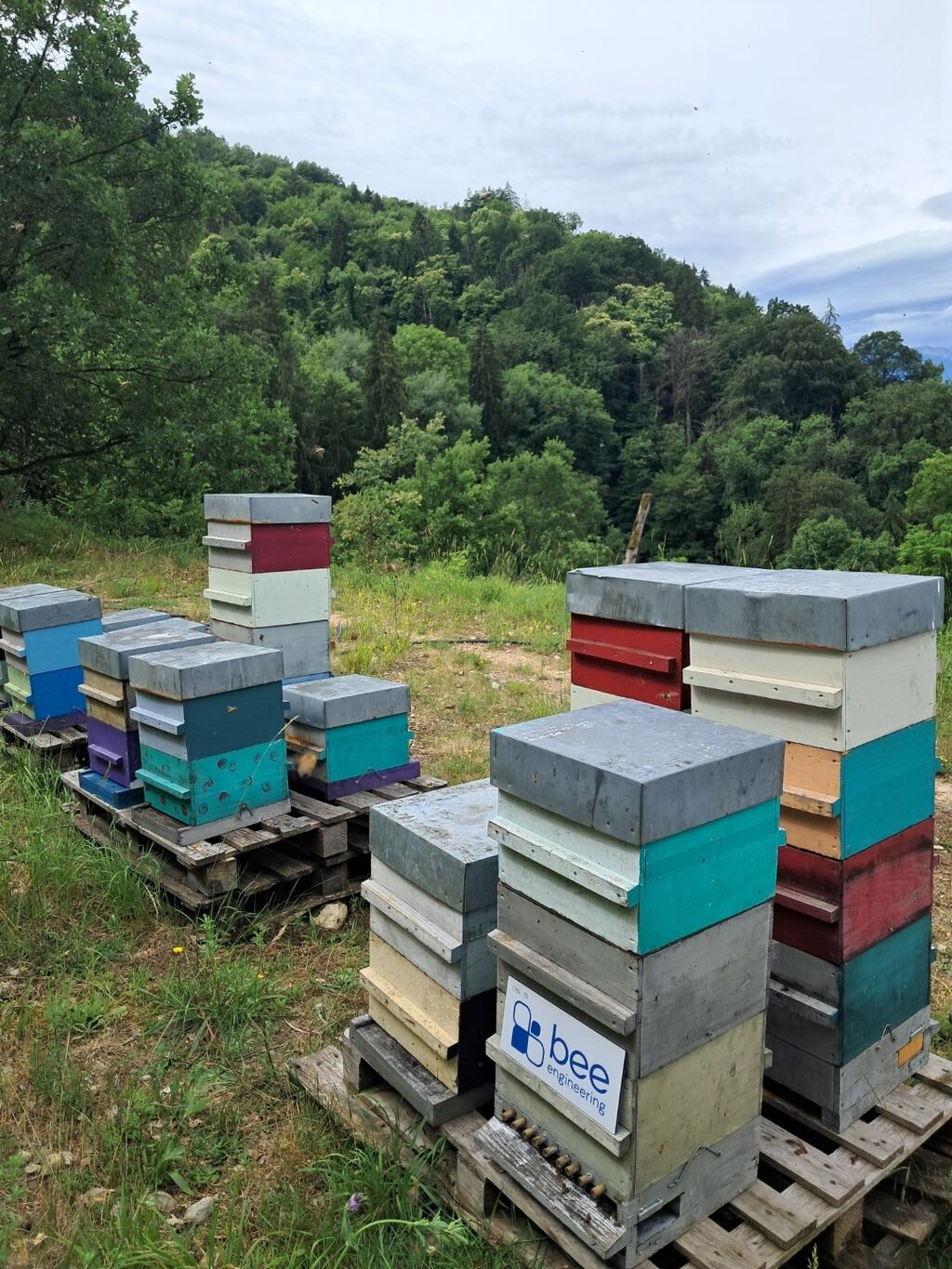 La ruche Bee engineering