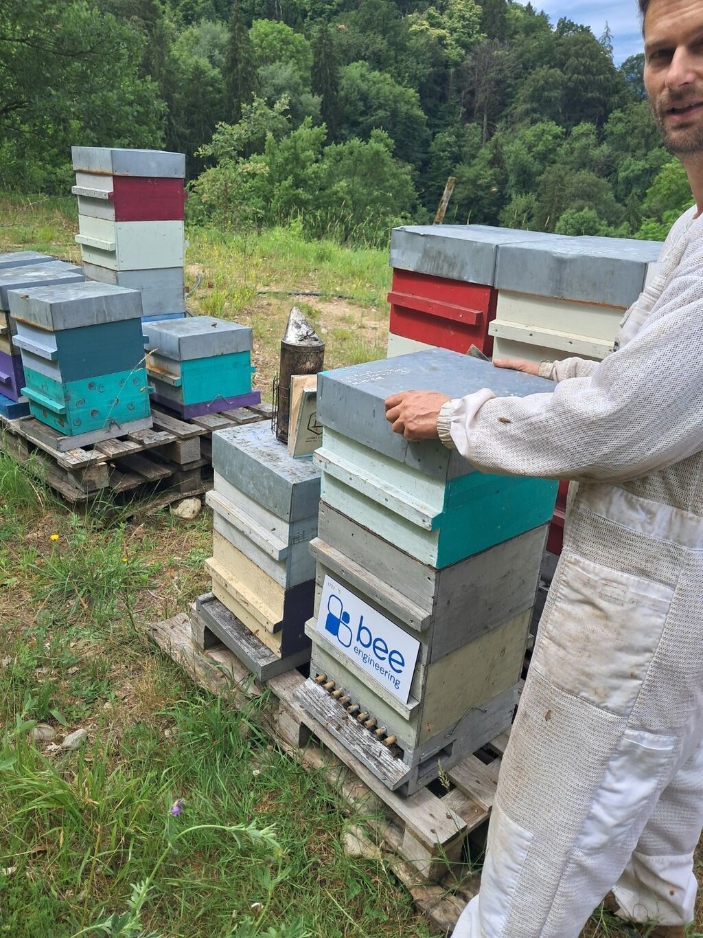 La ruche Bee engineering