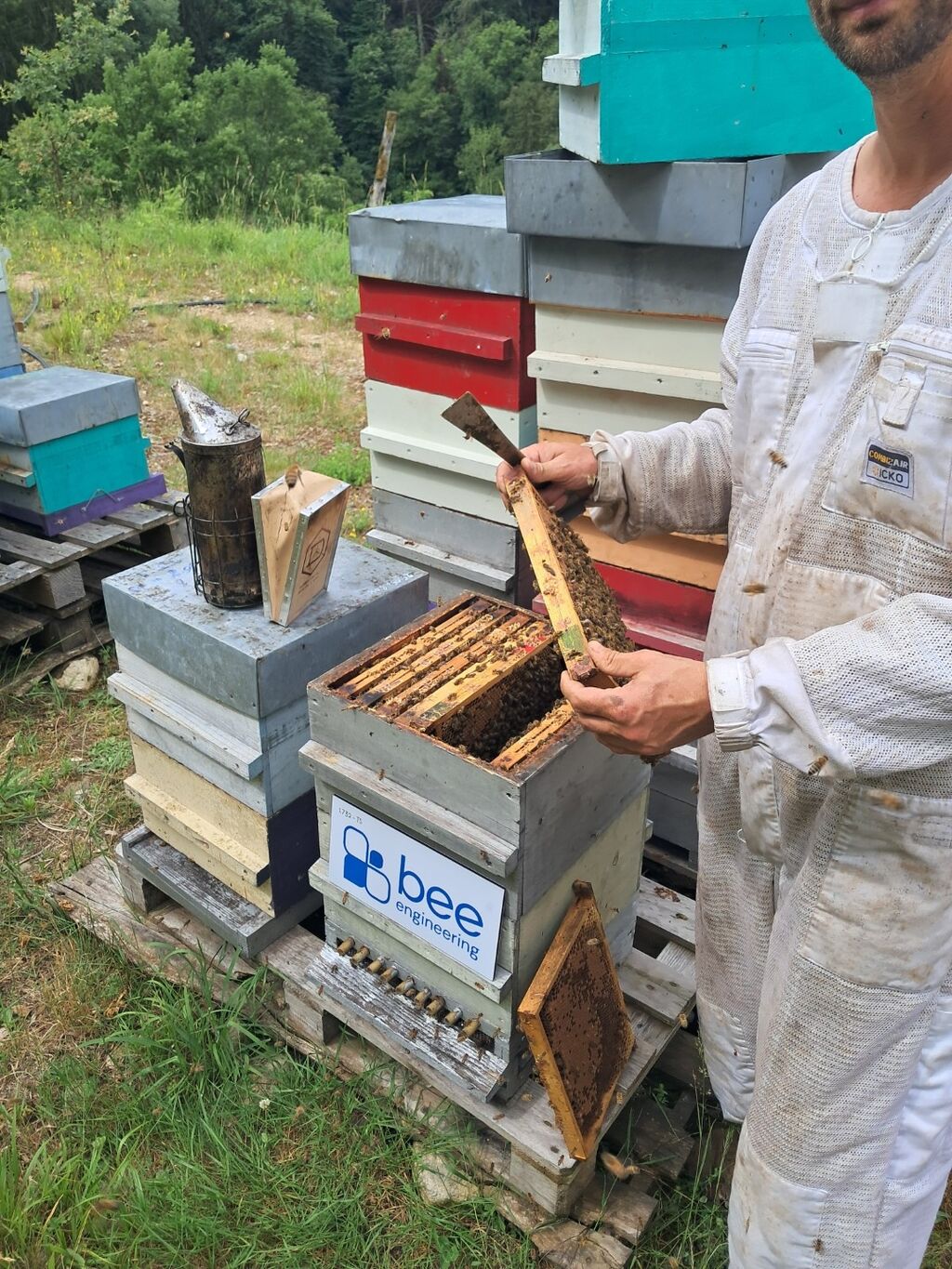 La ruche Bee engineering