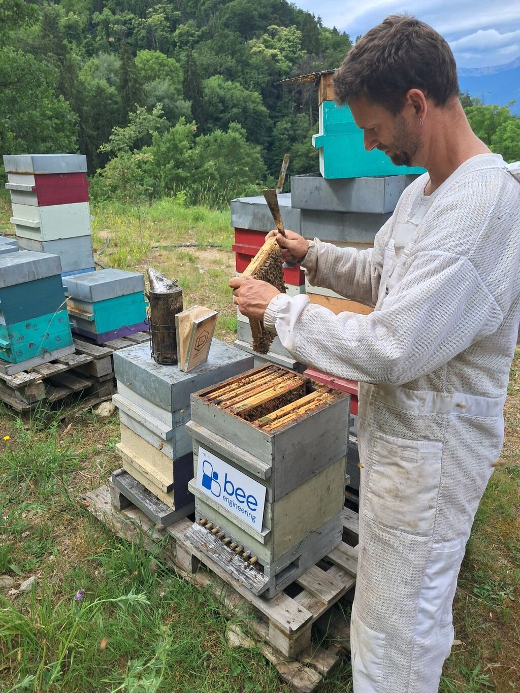 La ruche Bee engineering