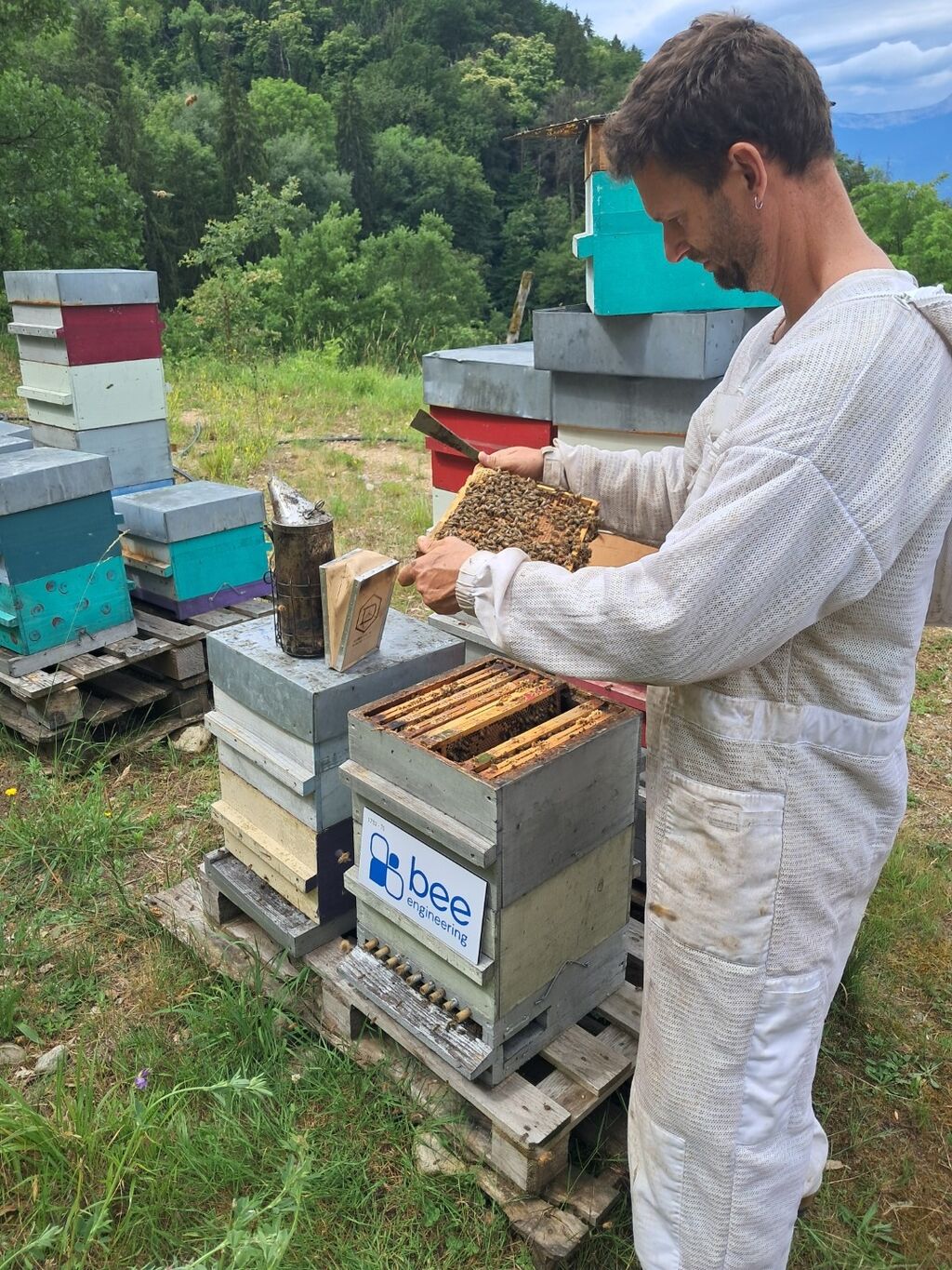 La ruche Bee engineering