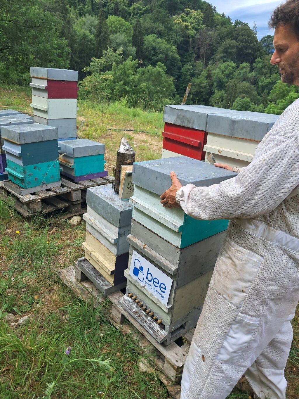 La ruche Bee engineering