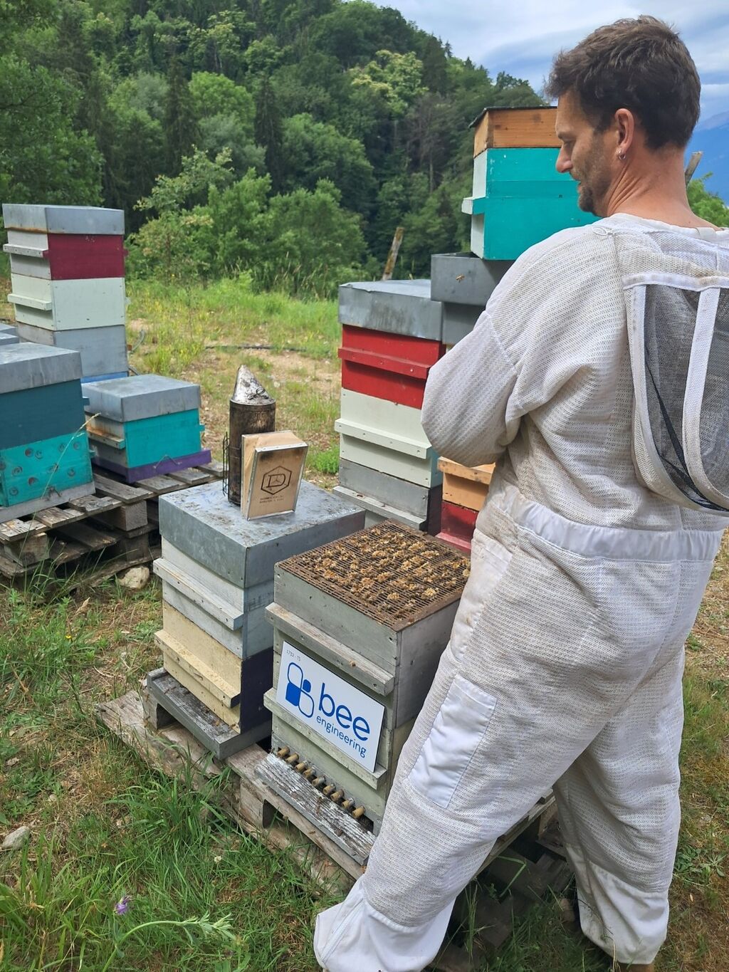 La ruche Bee engineering