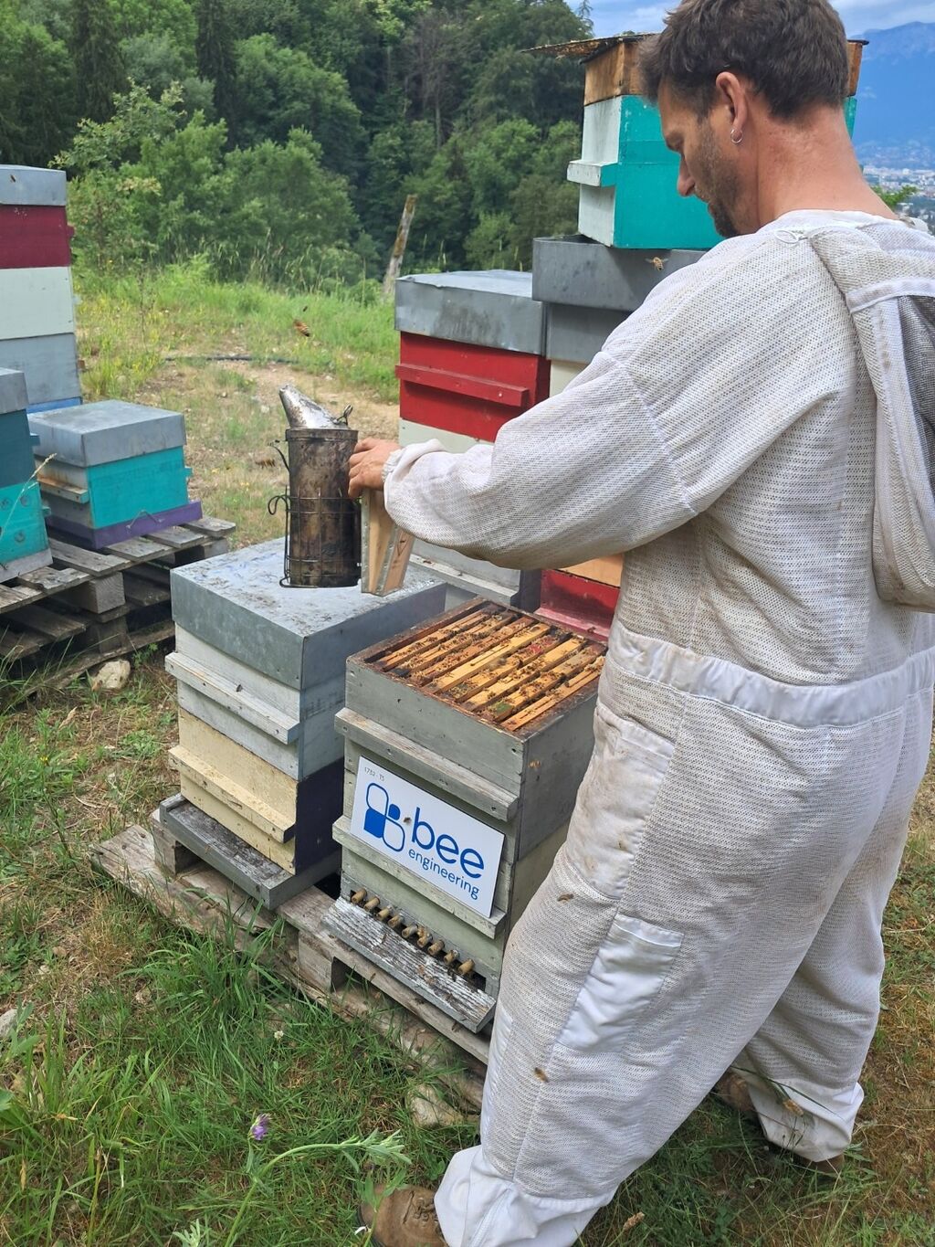 La ruche Bee engineering
