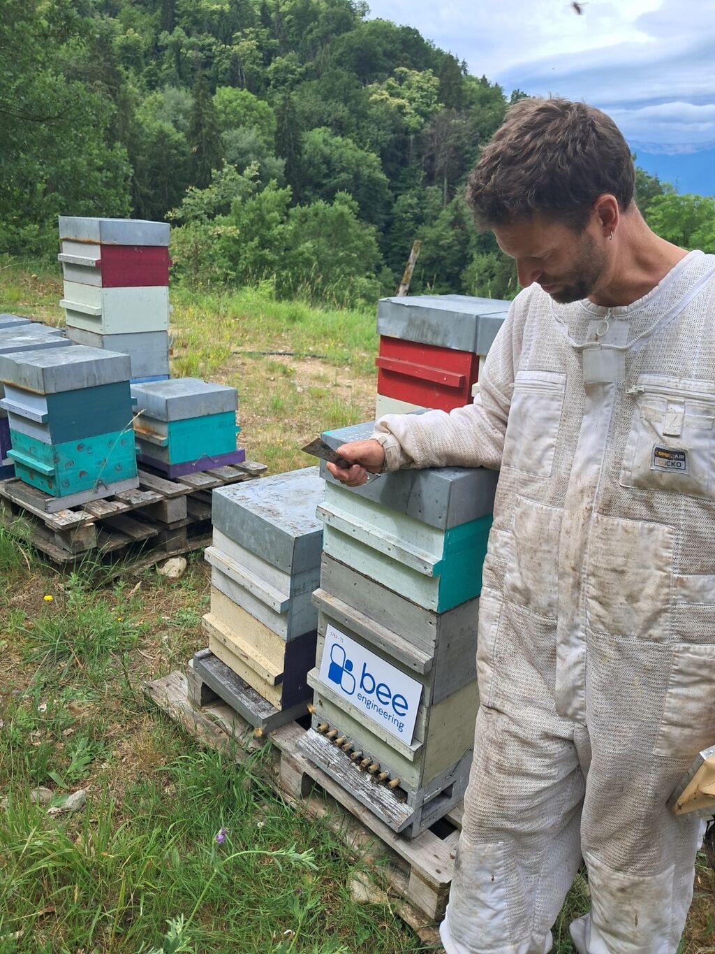 La ruche Bee engineering