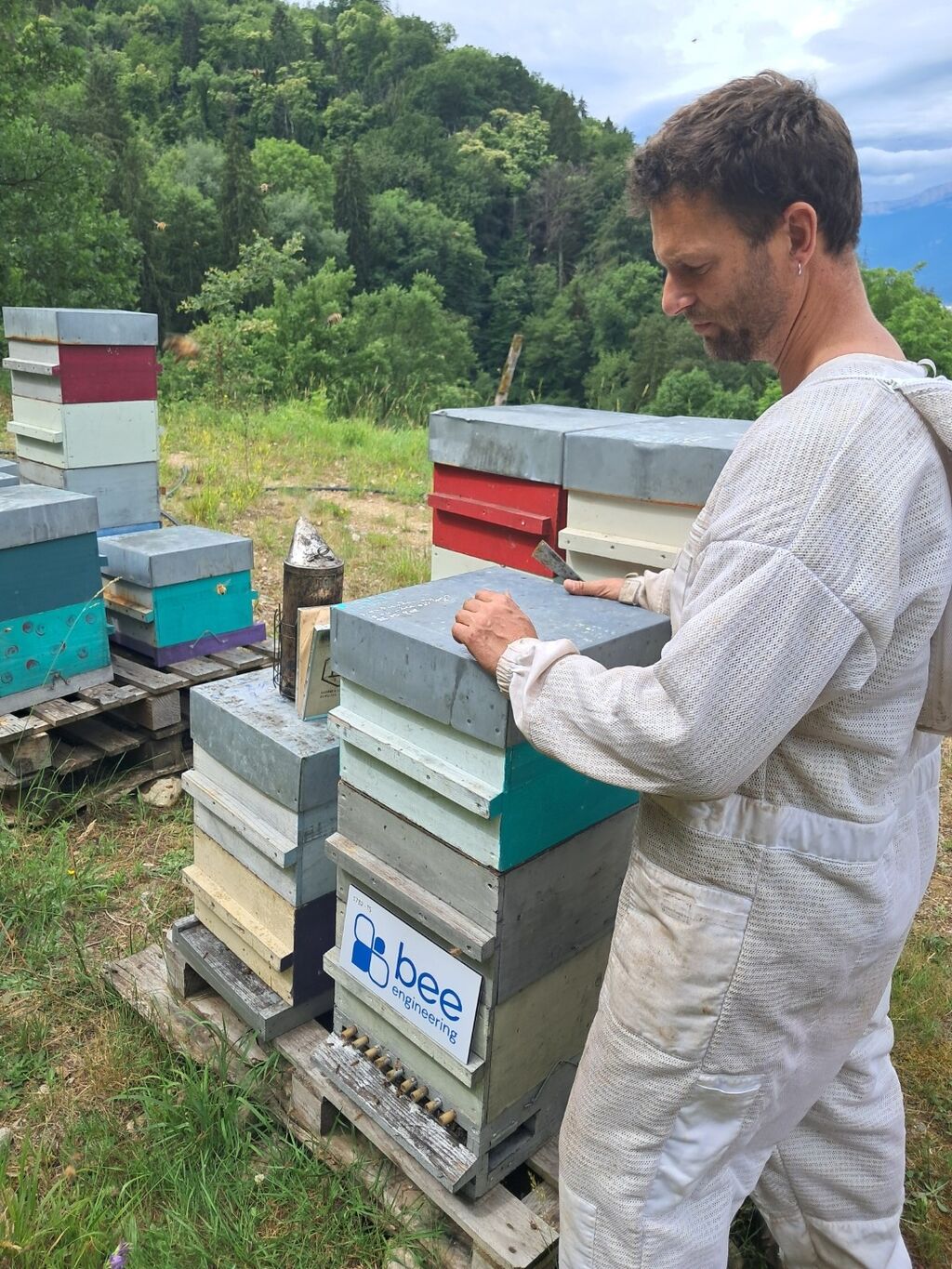 La ruche Bee engineering