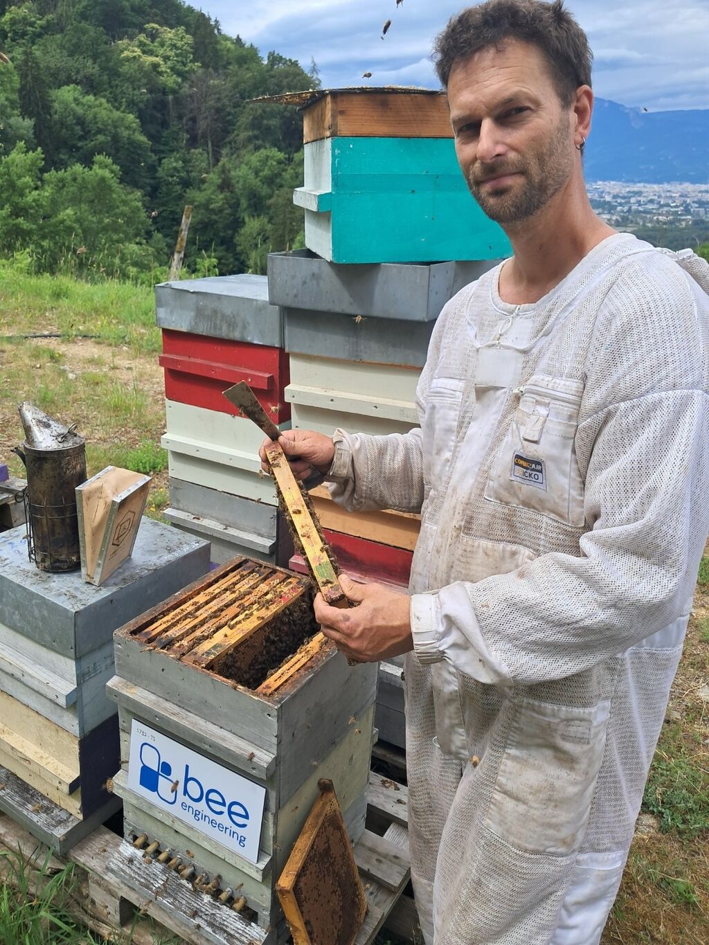 La ruche Bee engineering