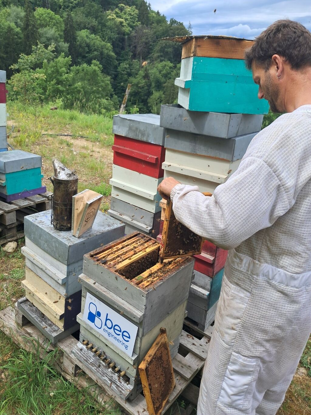 La ruche Bee engineering