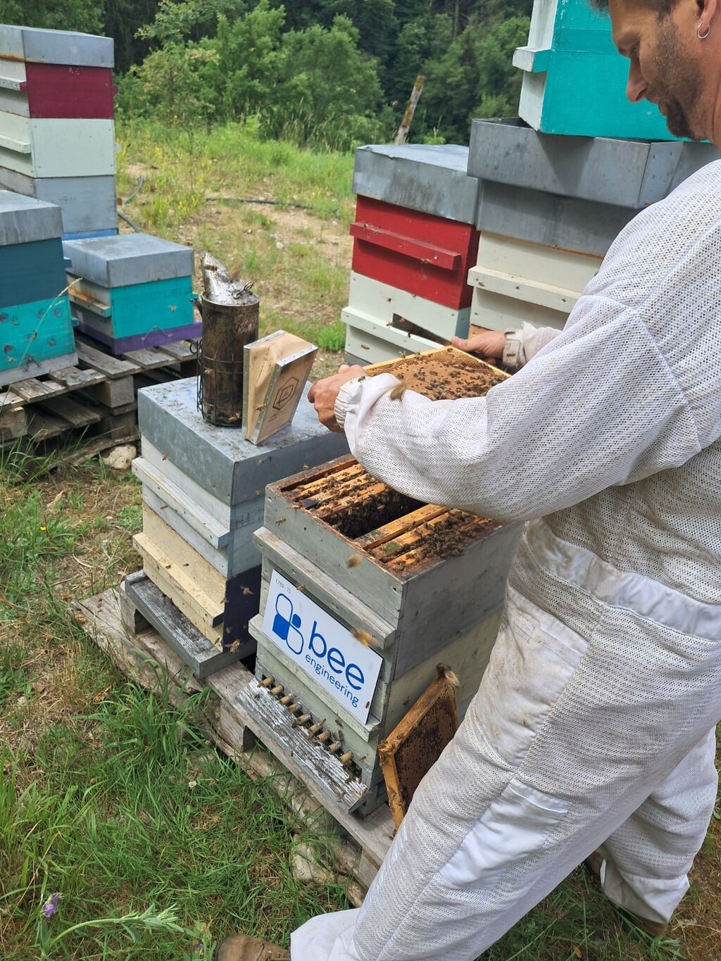 La ruche Bee engineering