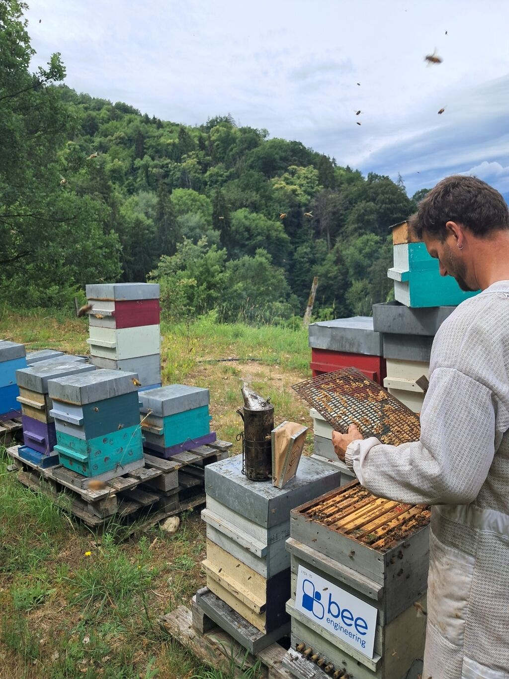 La ruche Bee engineering