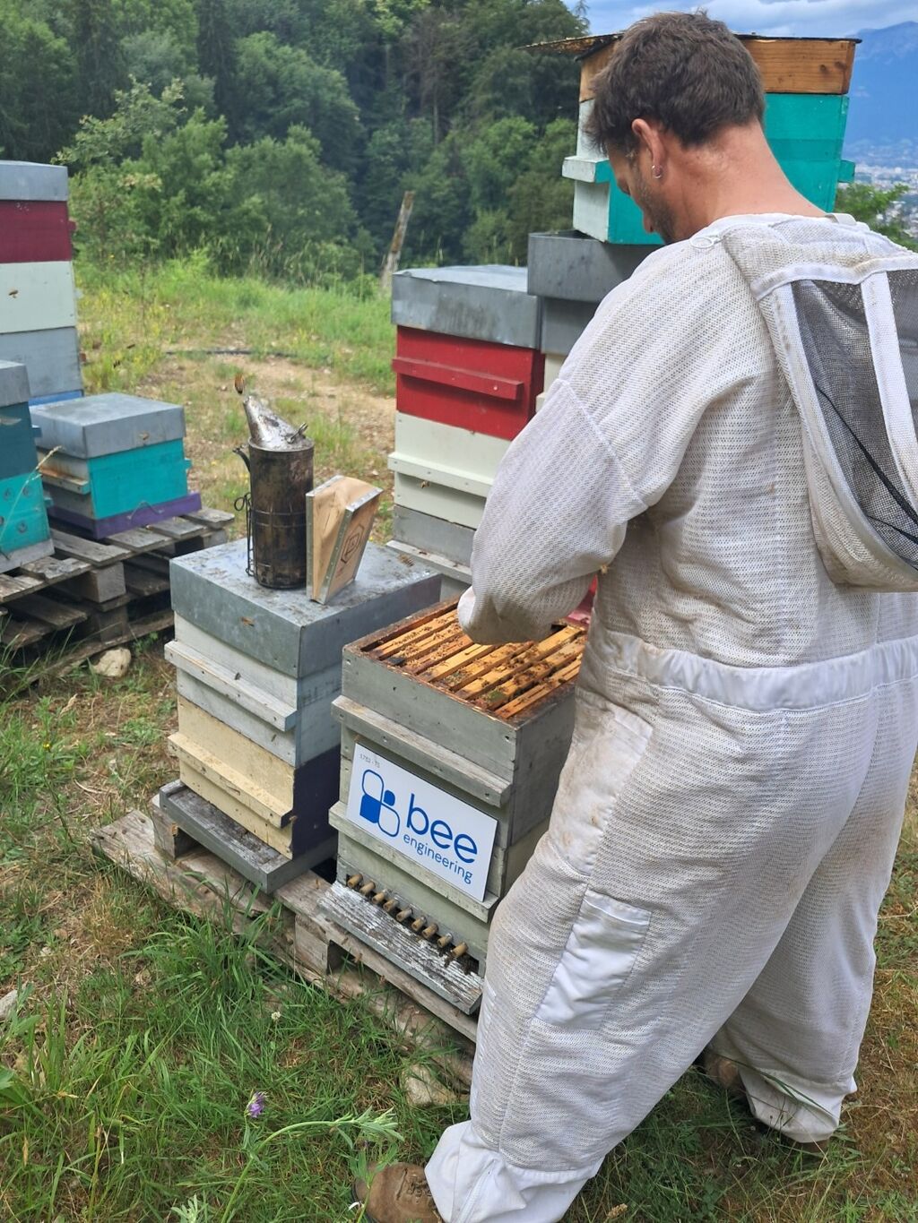La ruche Bee engineering