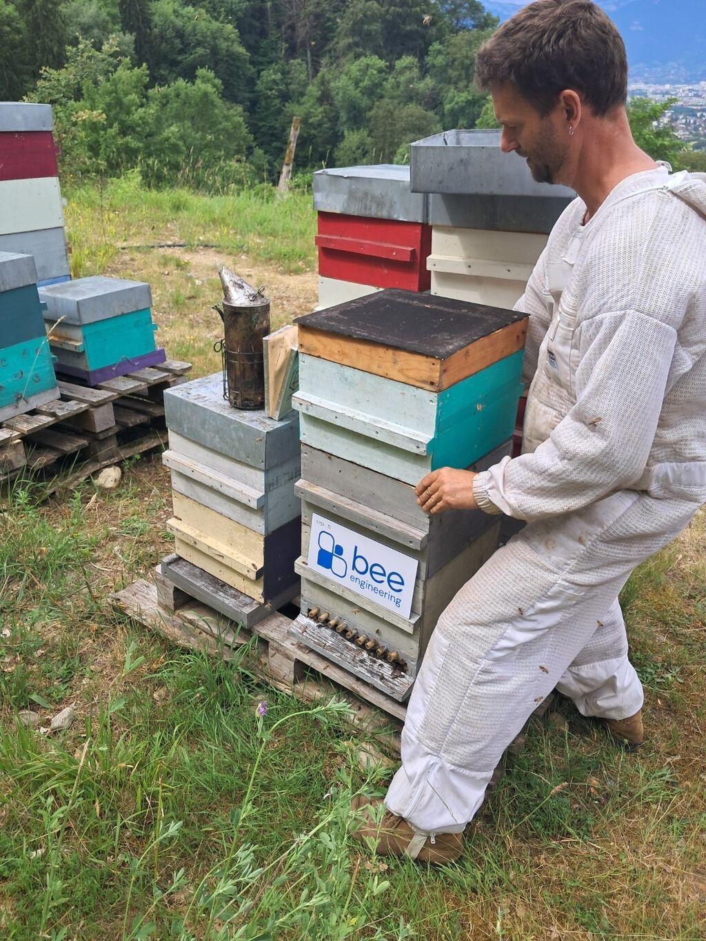 La ruche Bee engineering