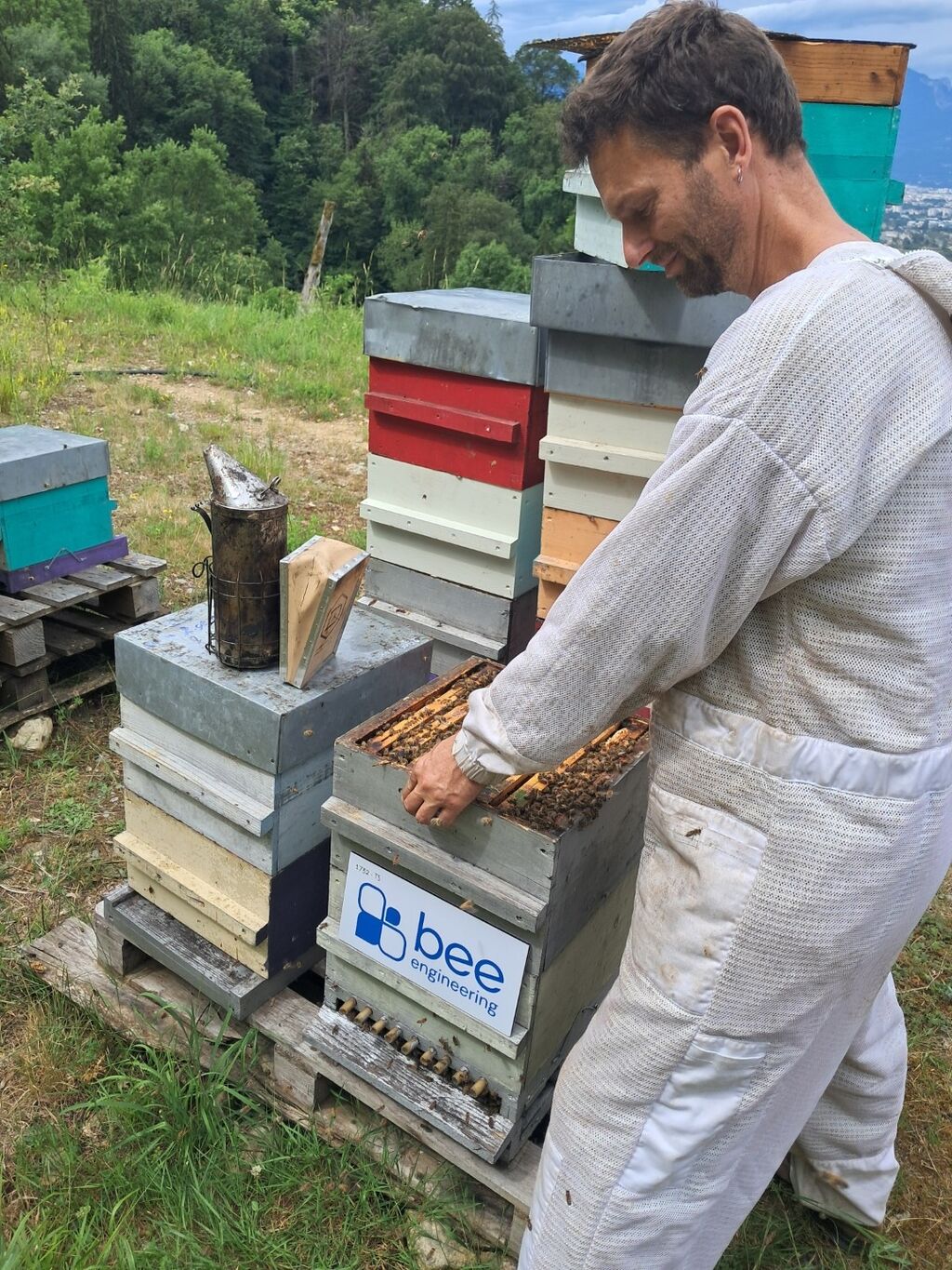 La ruche Bee engineering