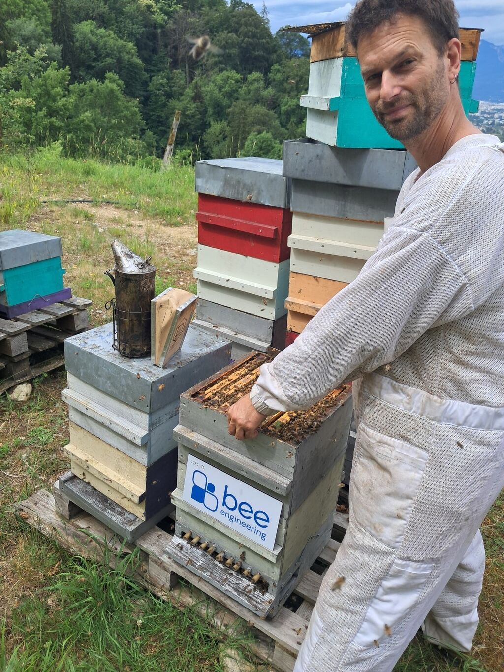 La ruche Bee engineering
