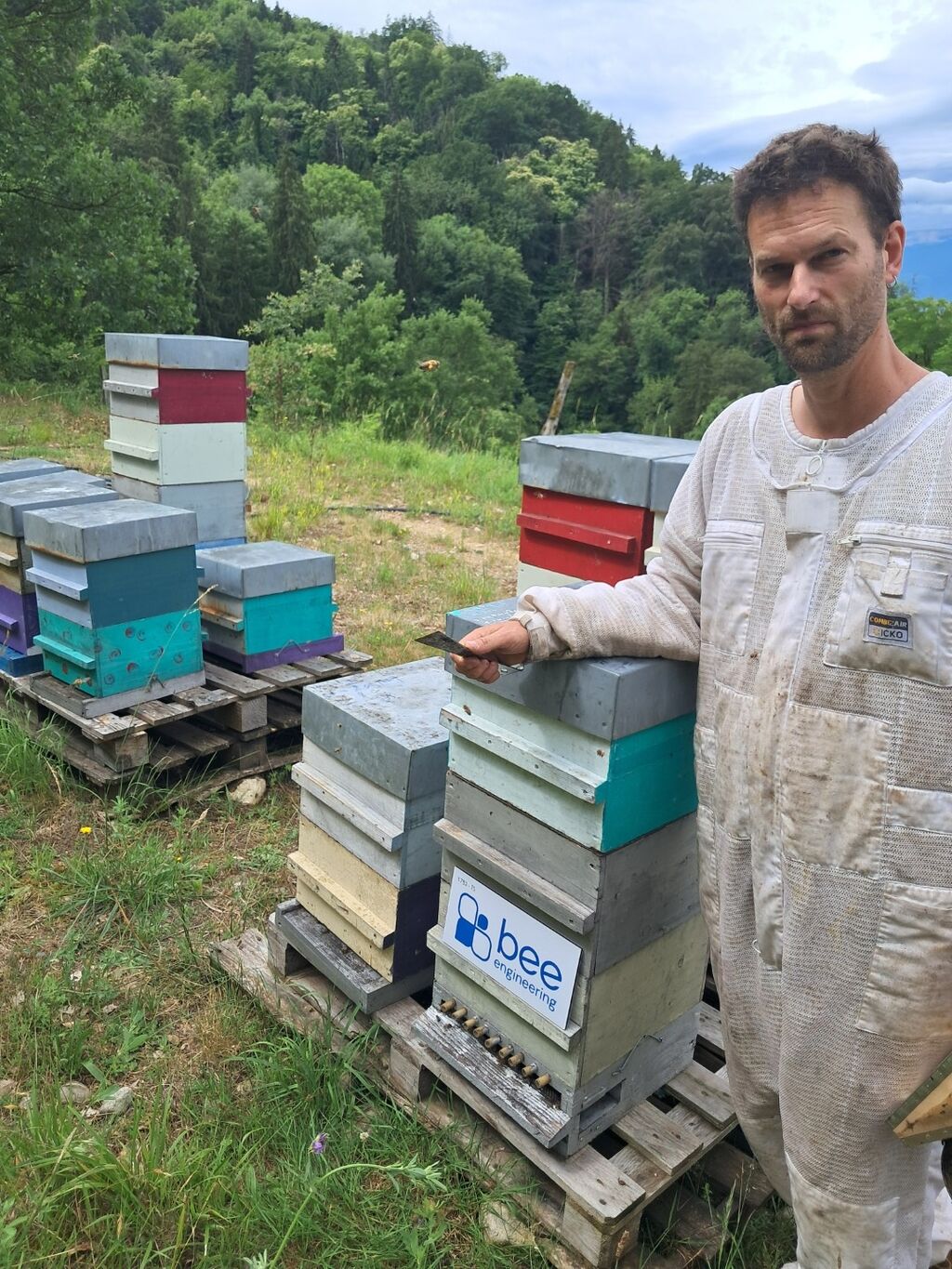 La ruche Bee engineering