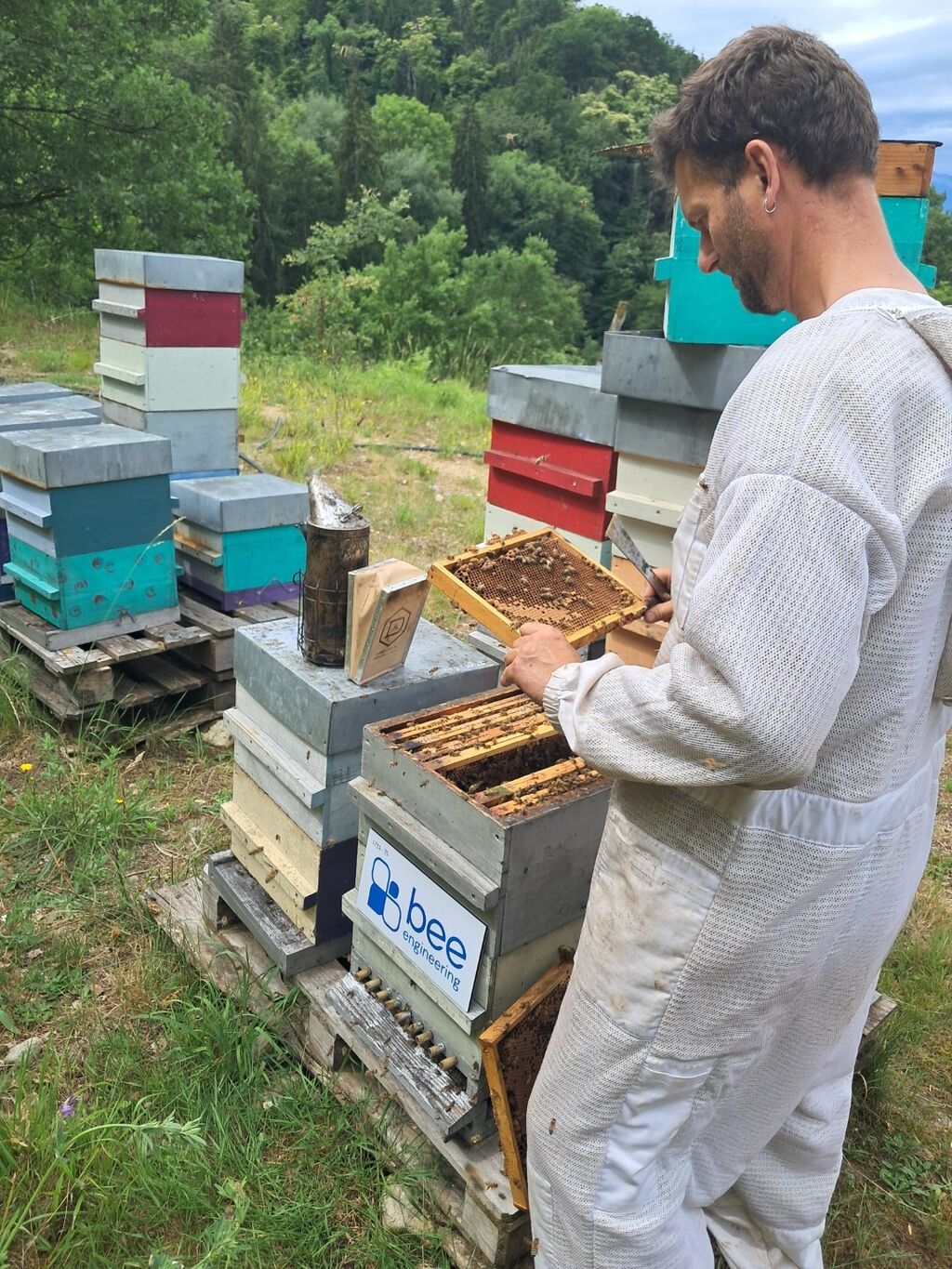 La ruche Bee engineering