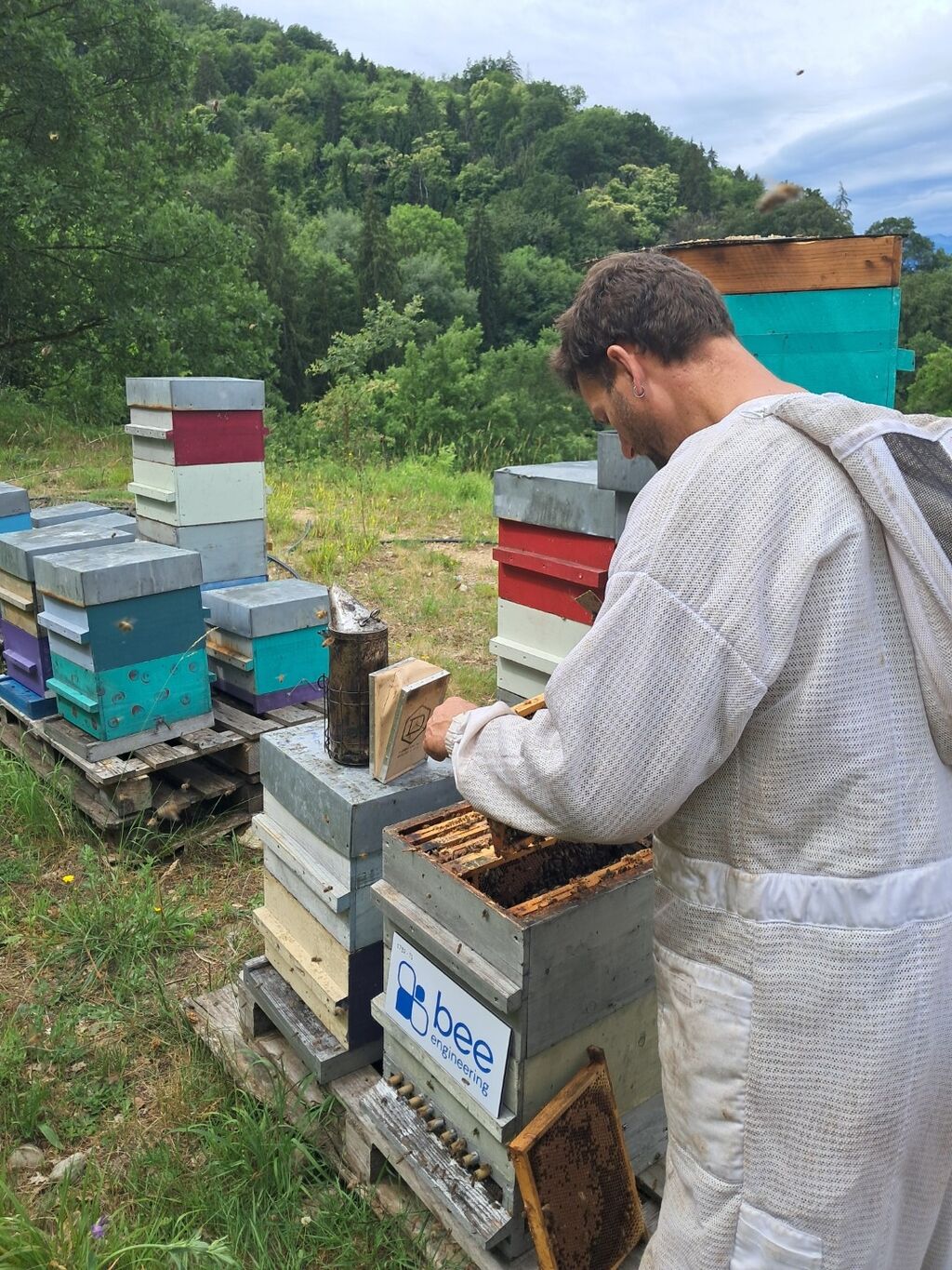 La ruche Bee engineering