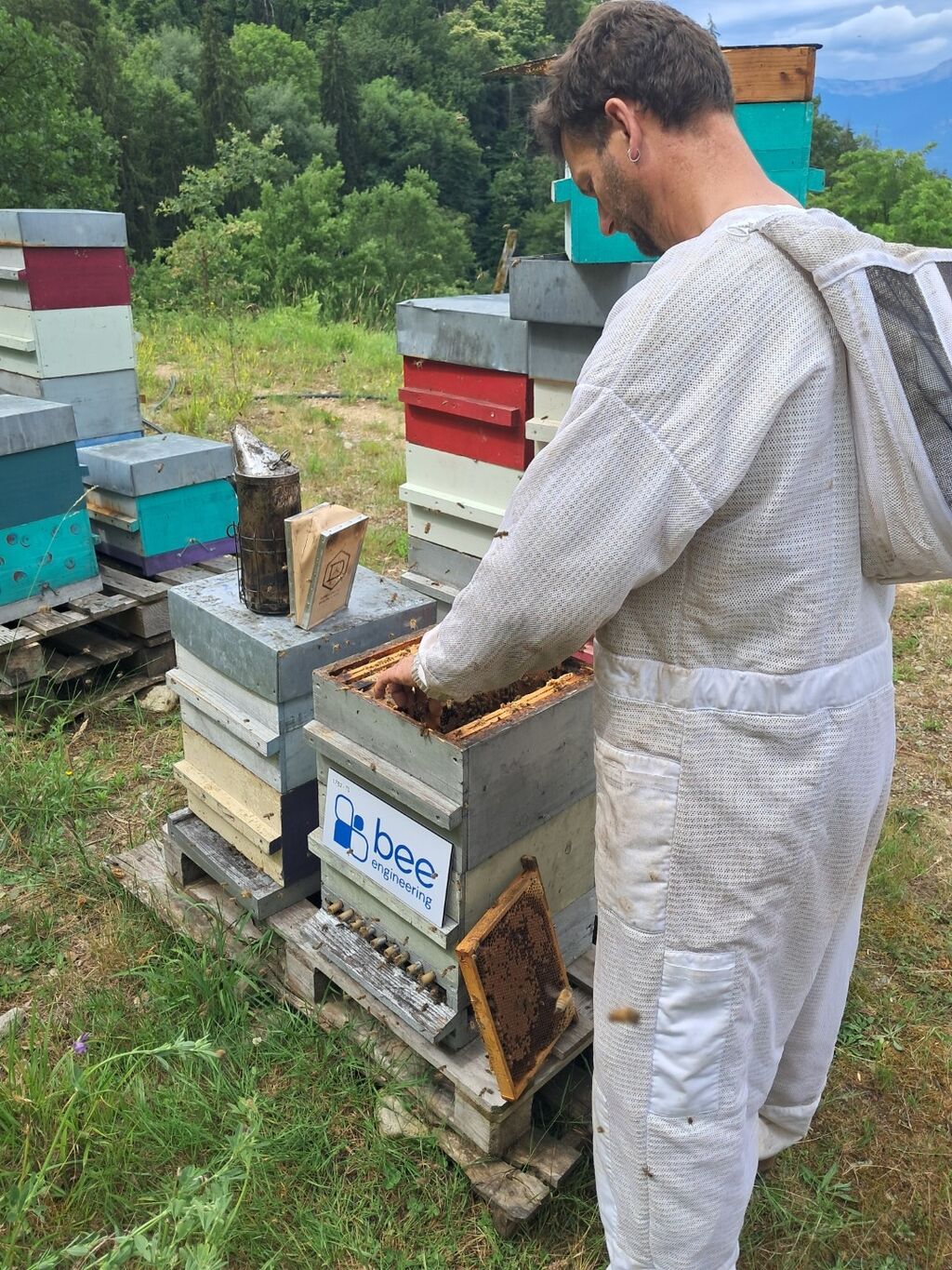 La ruche Bee engineering
