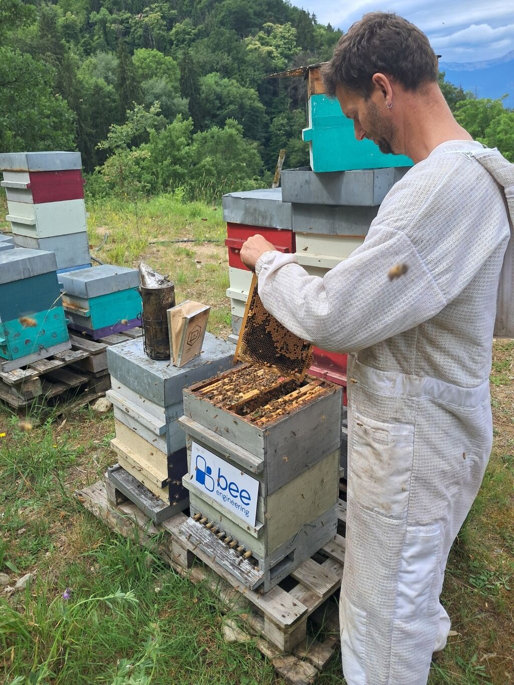 La ruche Bee engineering