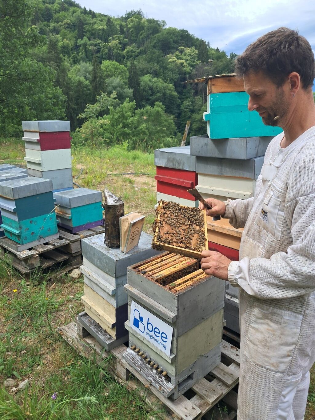 La ruche Bee engineering