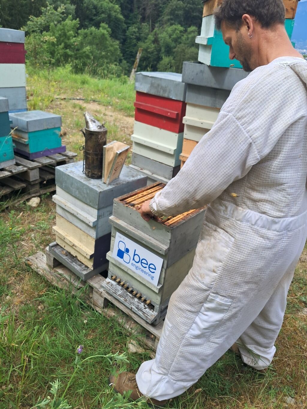 La ruche Bee engineering