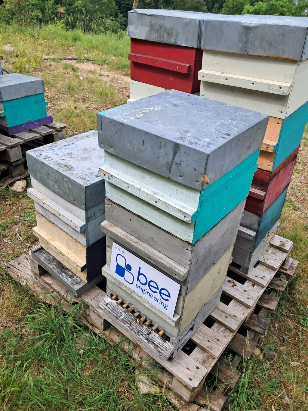 La ruche Bee engineering