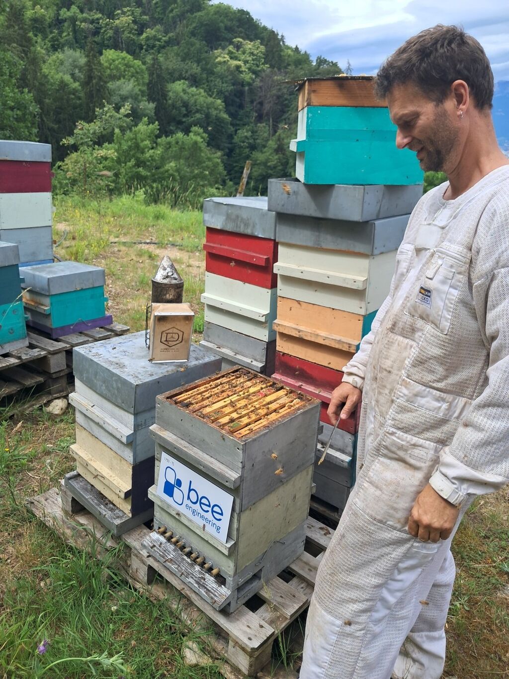 La ruche Bee engineering