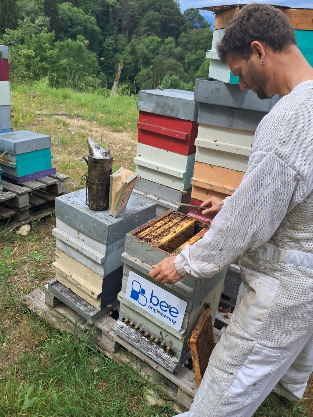 La ruche Bee engineering