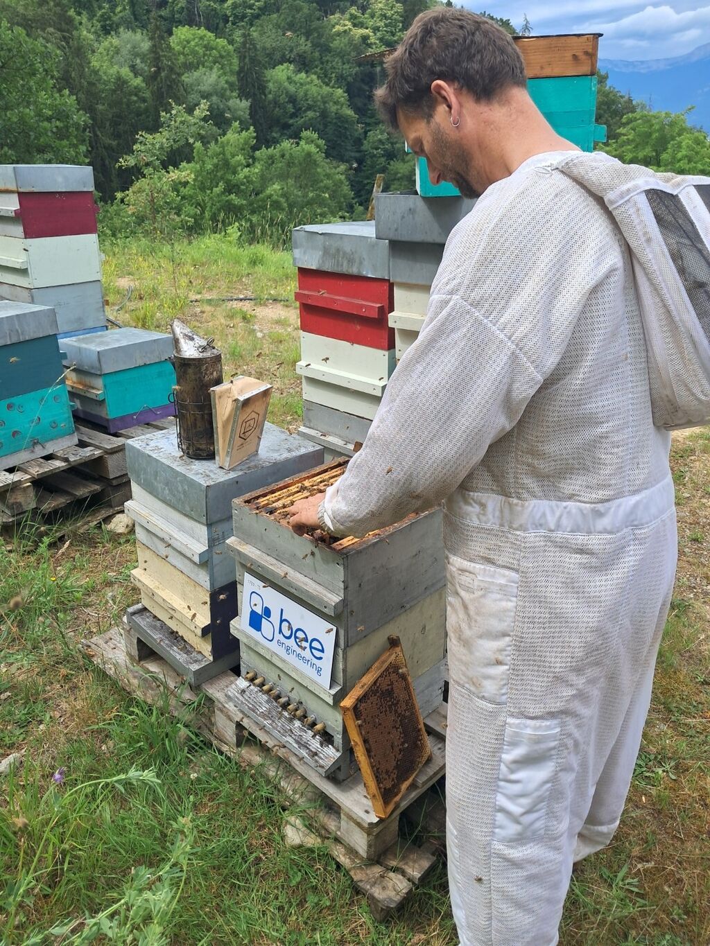 La ruche Bee engineering