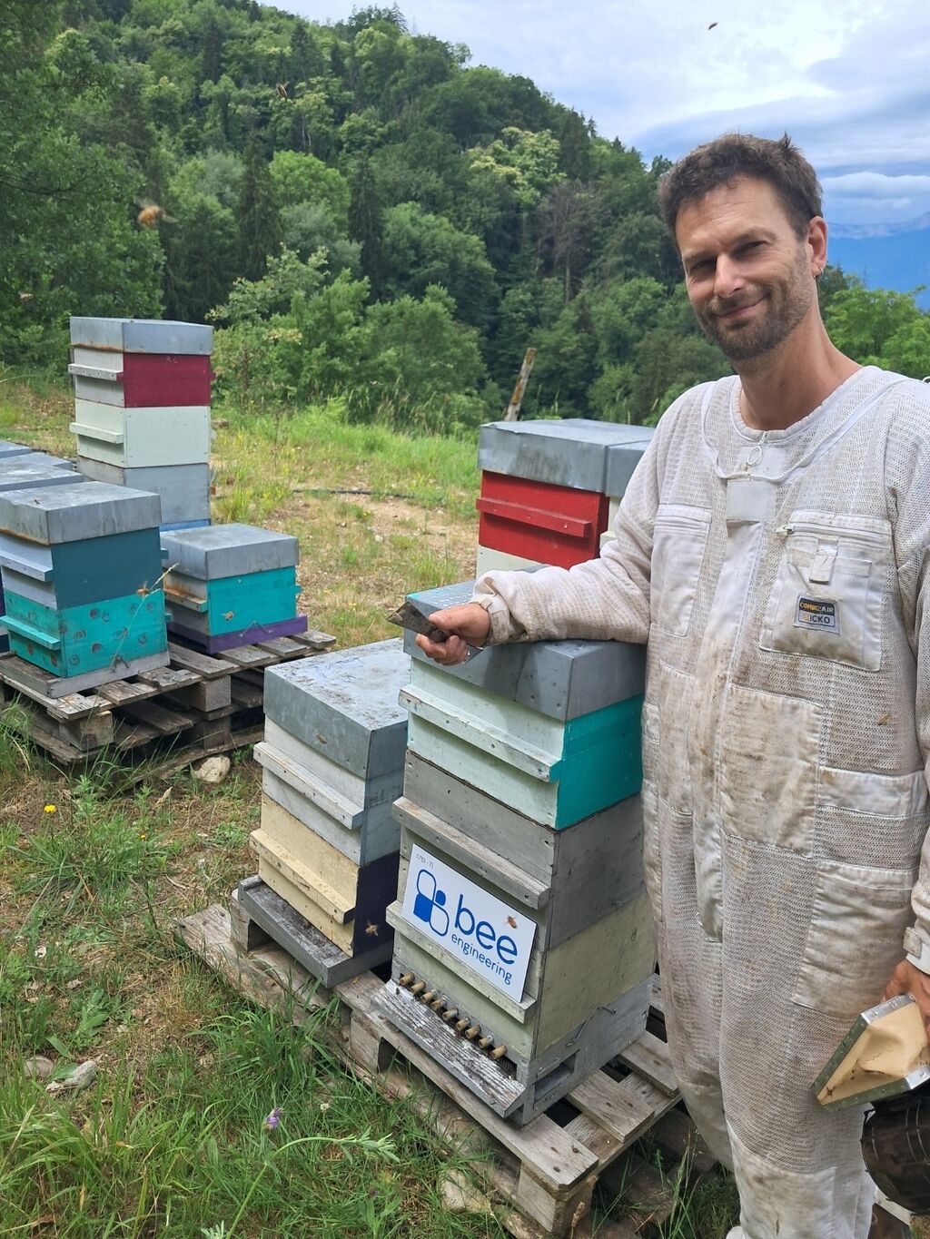 La ruche Bee engineering
